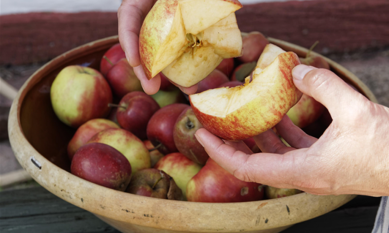 Tag en bid af æblet - i Den Fynske Landsby